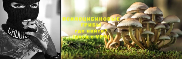 мескалин Лабытнанги