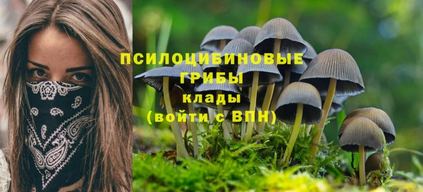 синтетический гашиш Кулебаки