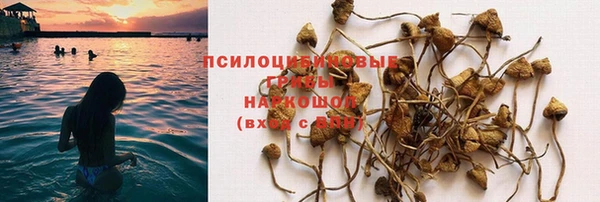 a pvp Санкт-Петербург