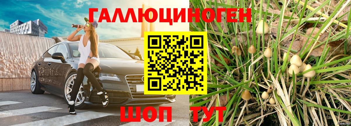 МЕФ кристаллы  Братск  Вход с VPN  Гашиш  Марихуана  КОКАИН 